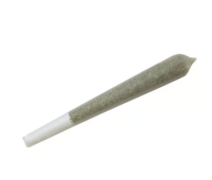 joint
