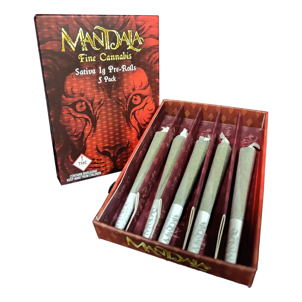 Mandala 5-pack