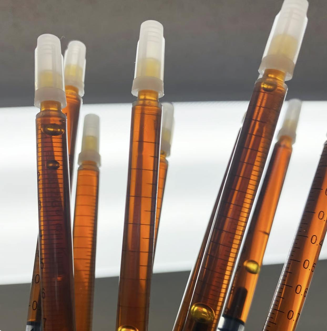 West Edison Activated Oil